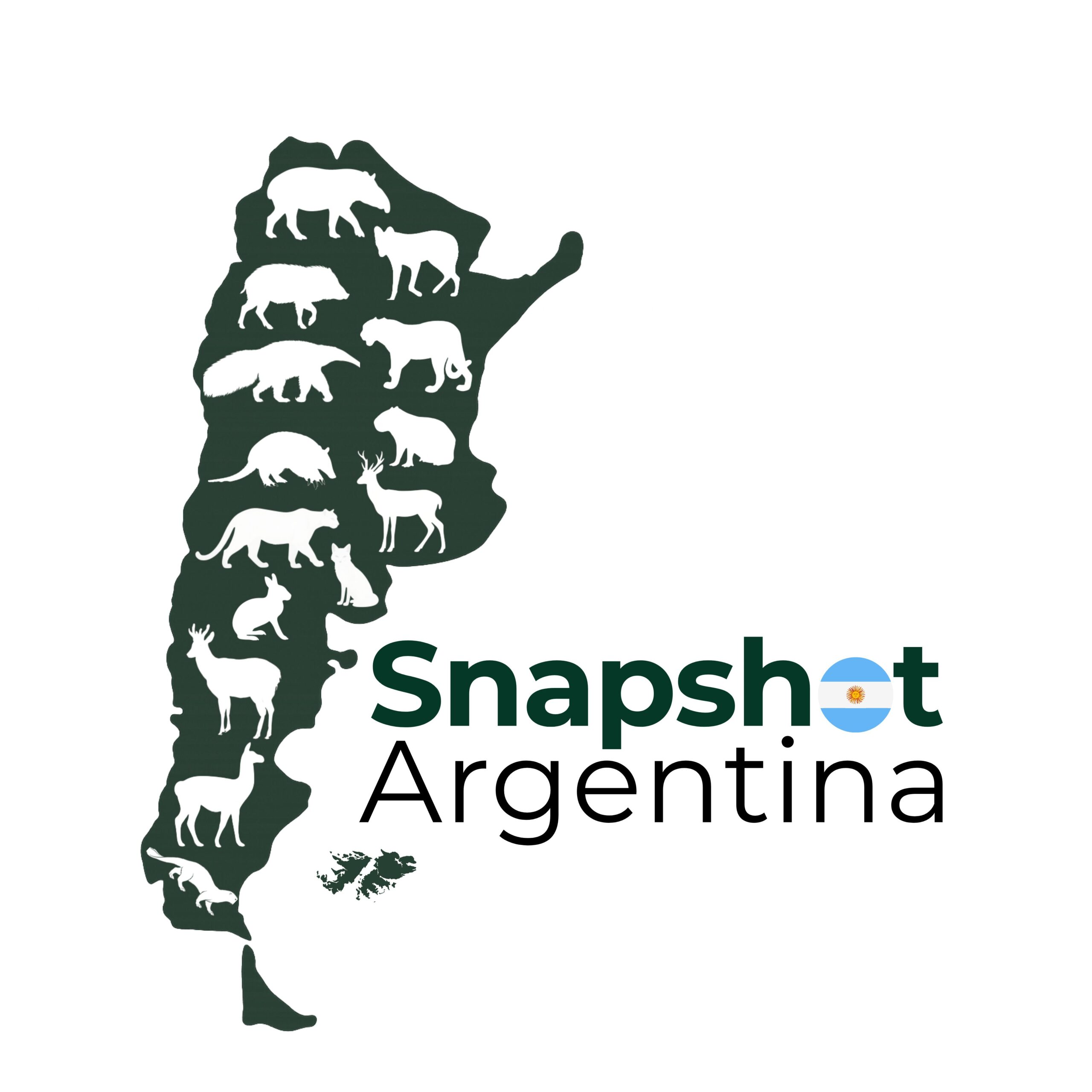 Snapshot Argentina Logo