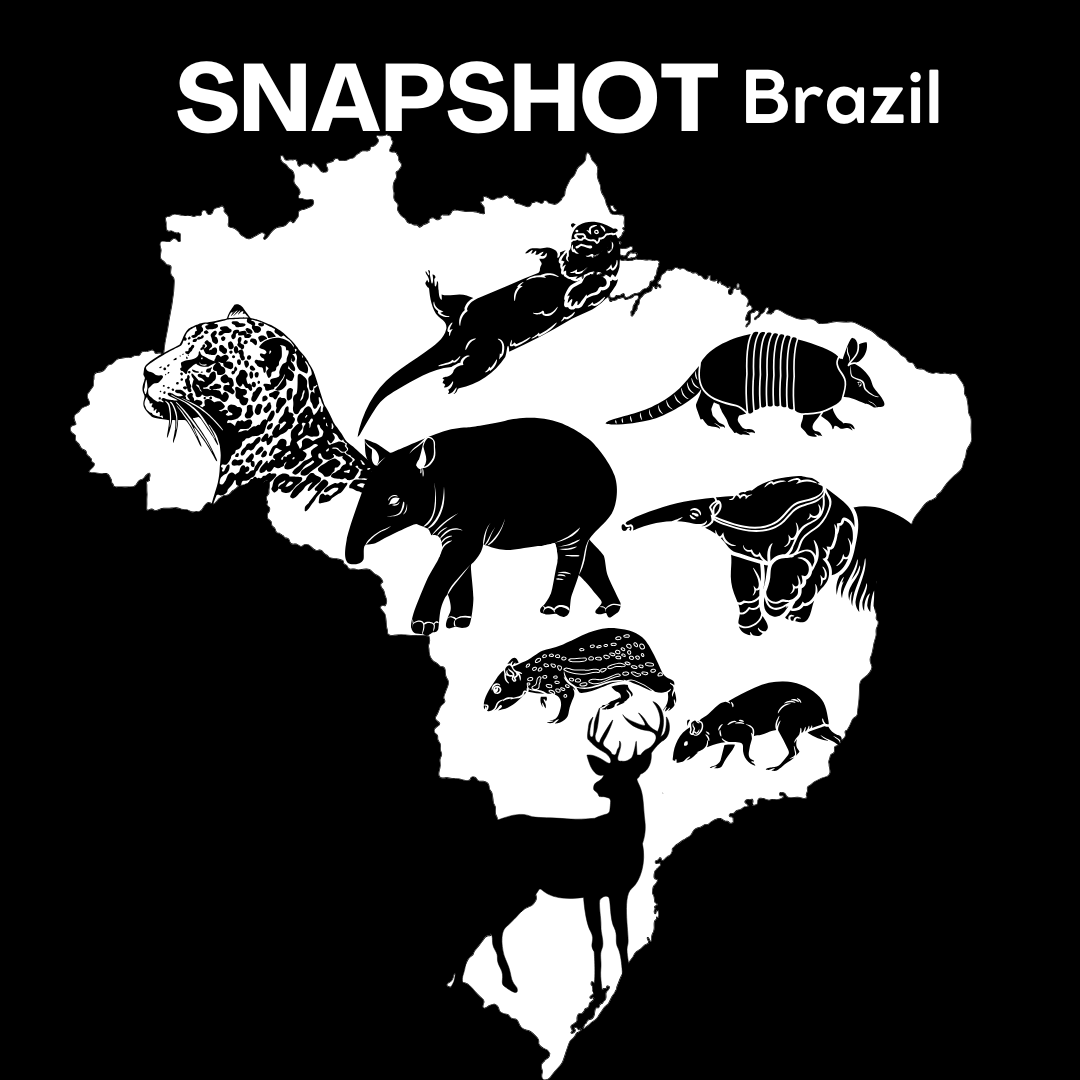 Snapshot Brazil