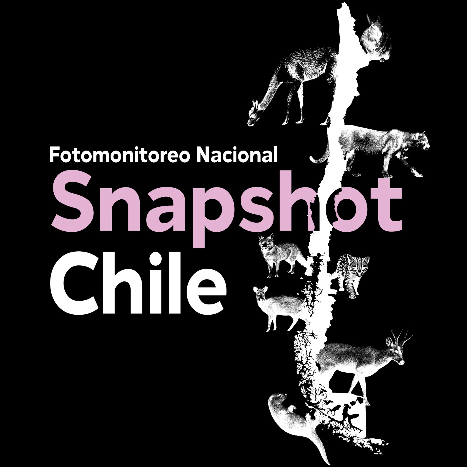 Snapshot Chile Logo