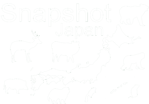 Snapshot Japan