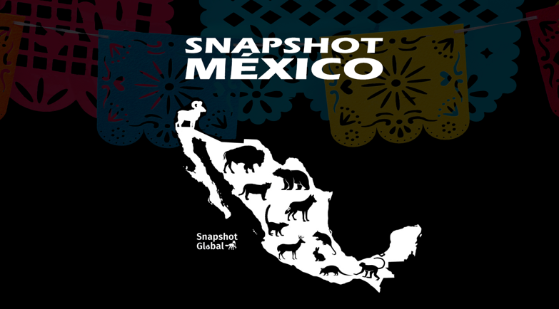 Snapshot Peru Logo