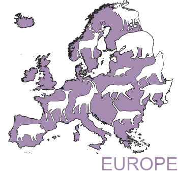 Snapshot Europe